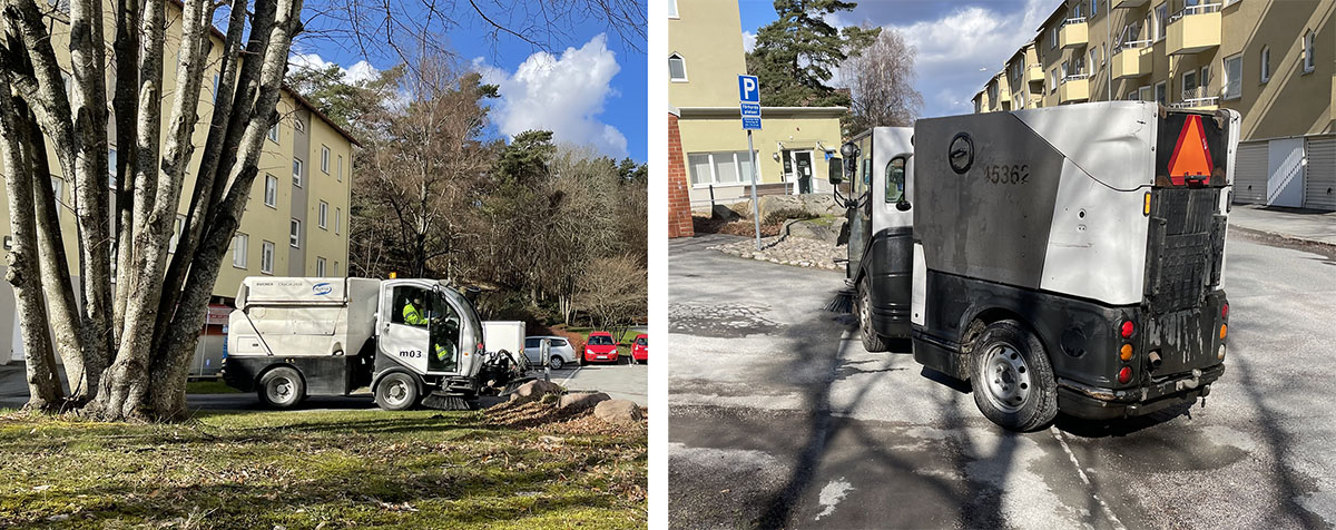 Vårtecken ute i våra områden