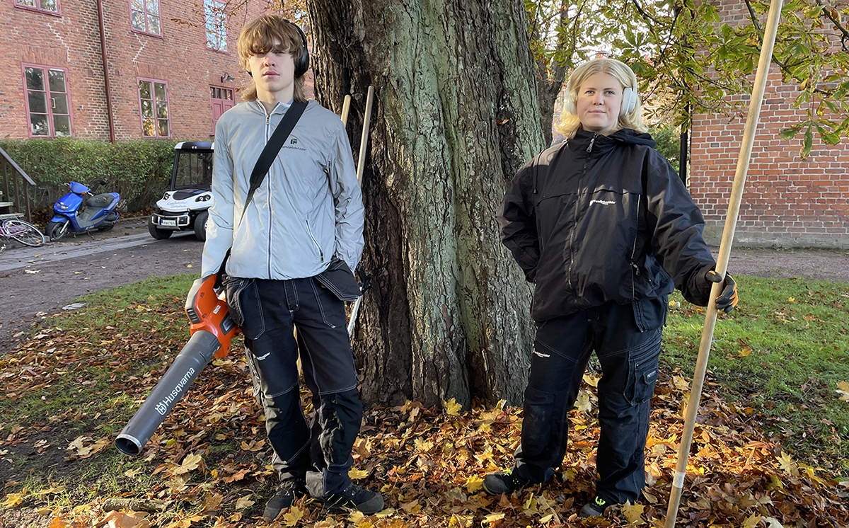 Utejobb på höstlovet