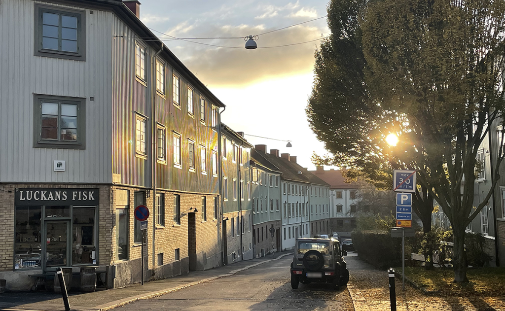 Peter Bagges gata, Slottsskogsgatan vid Mariaplan