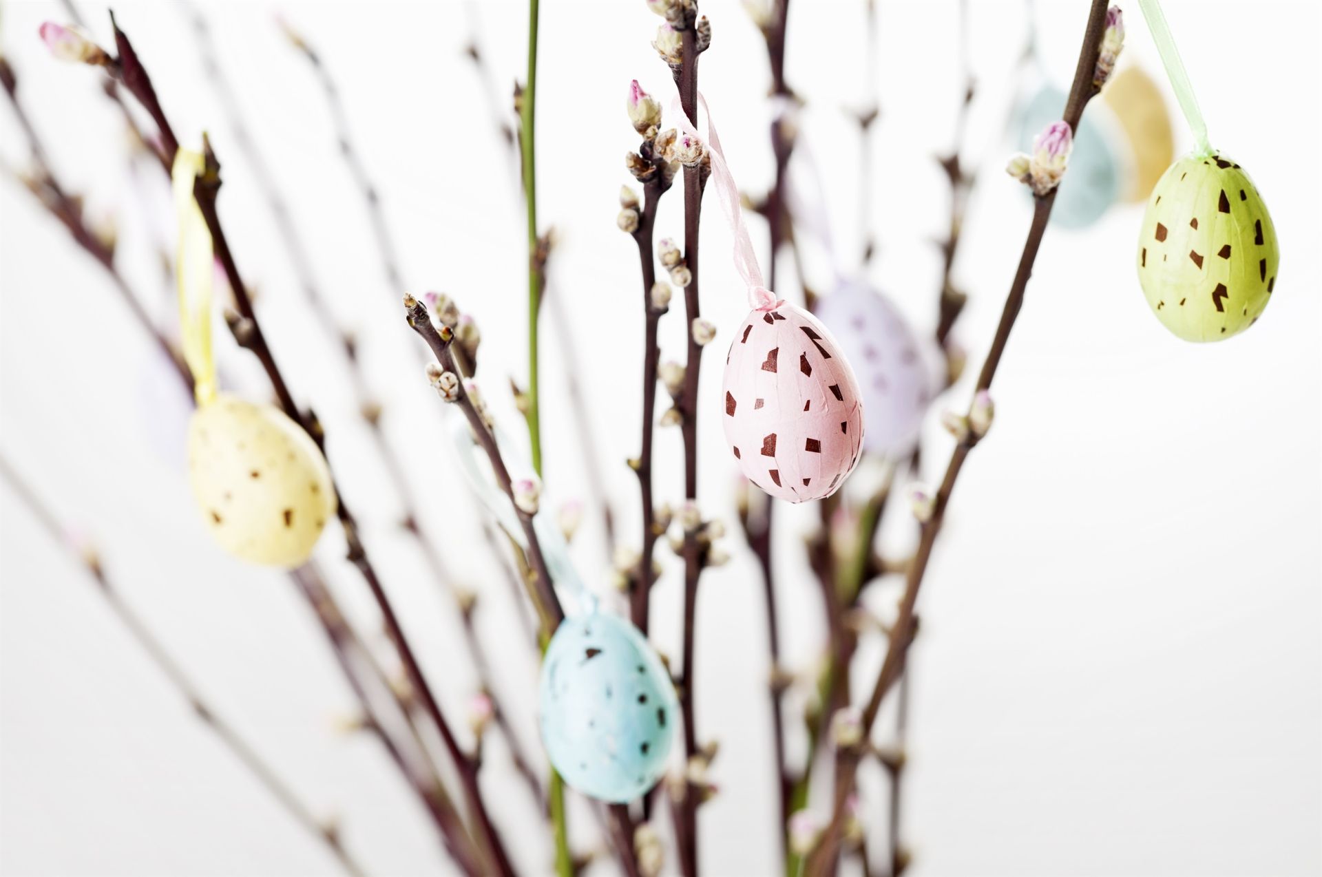 Kundservice stänger kl 12.00 den 2/1