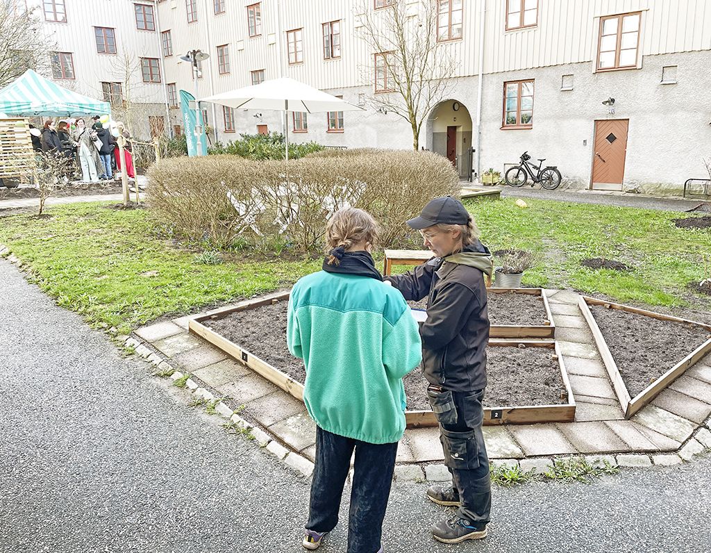 Ny gård i gröna kvarter