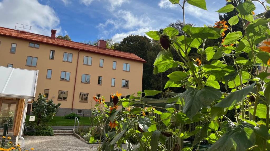 Bronskonst Genius arborum invigs i Änggården