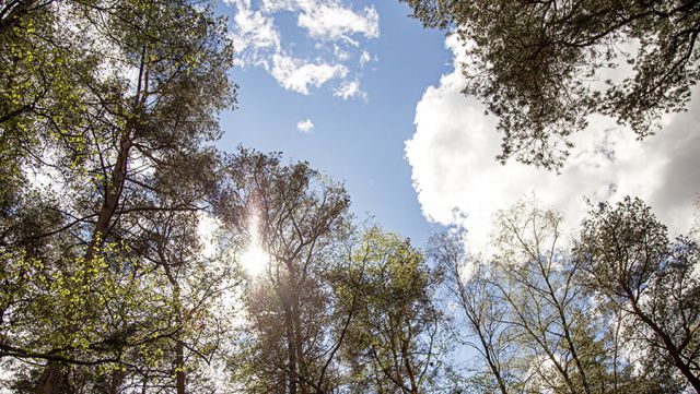 Små steg och stora kliv för minskad klimatpåverkan